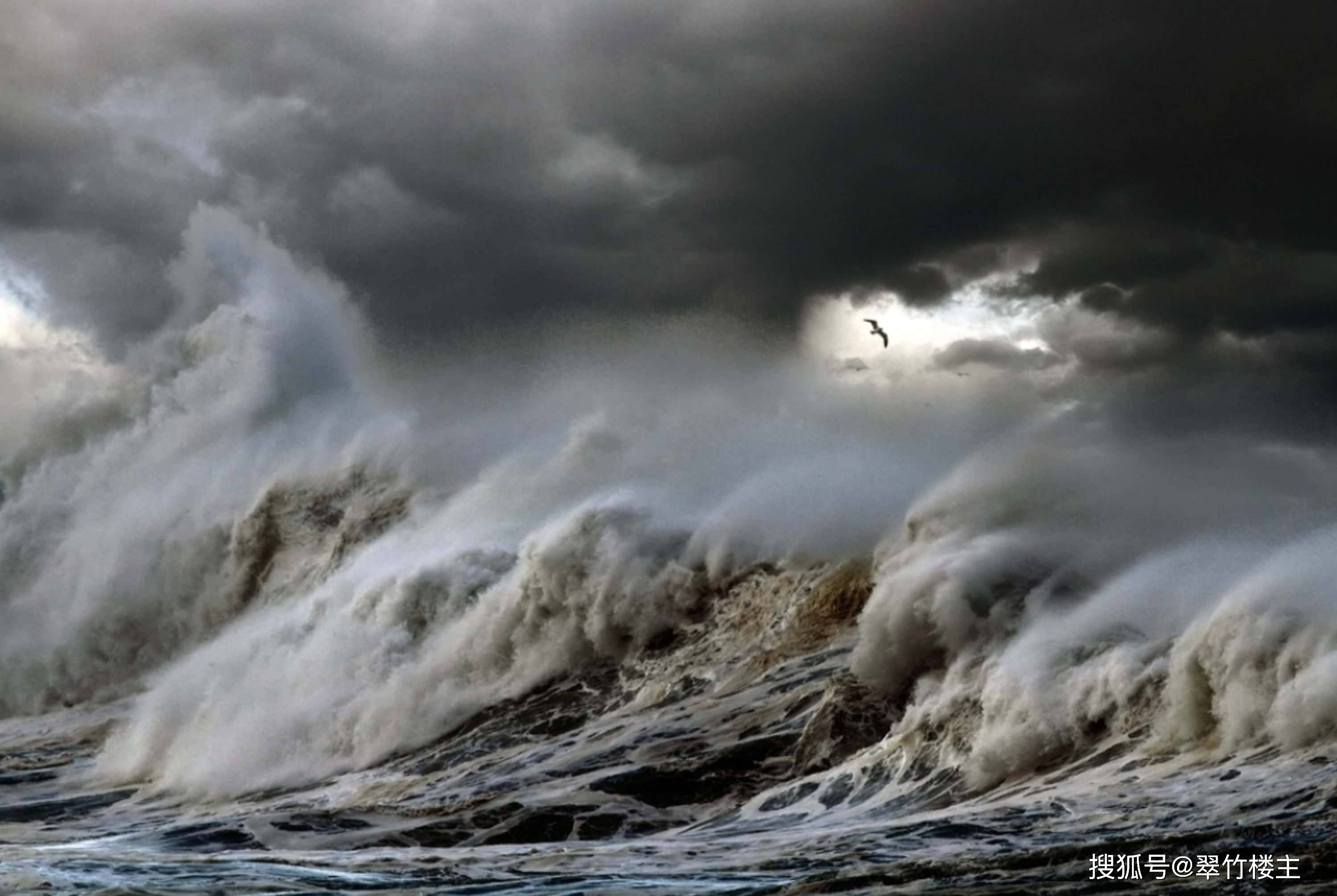 监测简报（東圖昨夜狂風急，品德一流貴夫人。同时狗追蛇鼠满地跑，夏去秋来野鸡飞）阿曼较量科摩罗比分预测运营平台-条理讲解