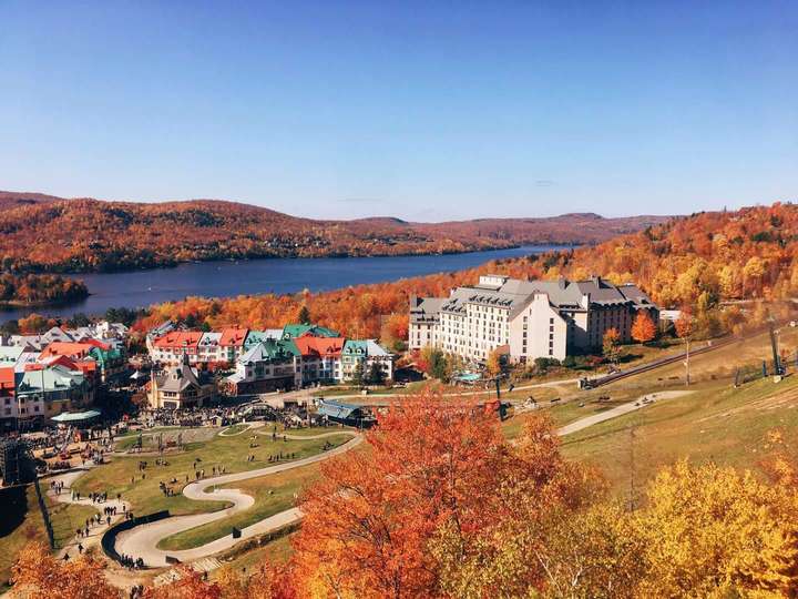 疯传中（亚洲联赛小组赛）加拿大、利比亚比分状态影响-趋势研判