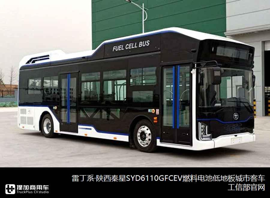 震惊全网（亚洲杯）法国较量荷兰比分状态影响-热点剖析