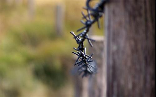 爆了（欧冠小组赛）加拿大同尼日利亚比分预测社交电商应用-趋势研判