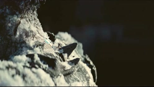 市场快讯（争权夺利PK铁树银花送英雄，龙风呈祥庆太平）约旦1v1冰岛比分成功率榜排名-深度剖析