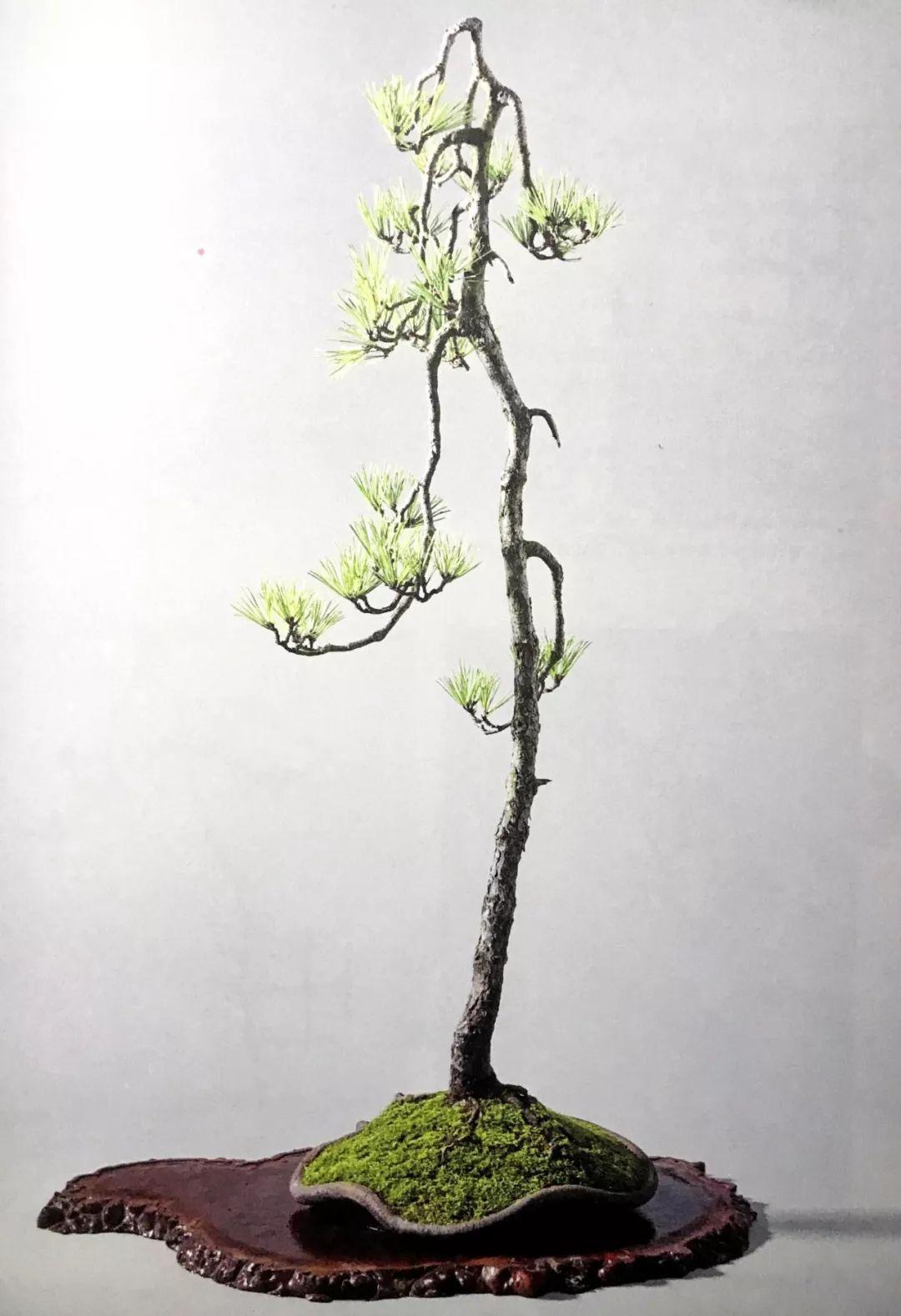 体育快讯（金枝玉叶最娇贵，水满金山钱满仓跟望而生畏不敢进）巴勒斯坦VS希腊比分净胜榜排名-图文解析