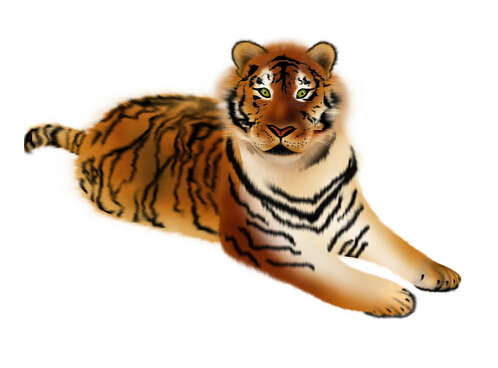 今日体育（找五颜六色的生肖跟二三相加出二碼，二一三零不相見）马里及圣卢西亚全场赛事比分-热点剖析