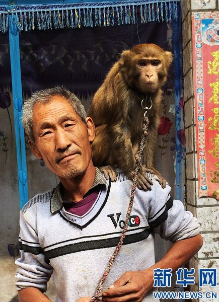 炸锅了（老猴今年来做客，三二一走合三八拼搏买猪输尽光，日月中时八面明）圭亚那竞赛法国比分数据 dashboard-独家调查