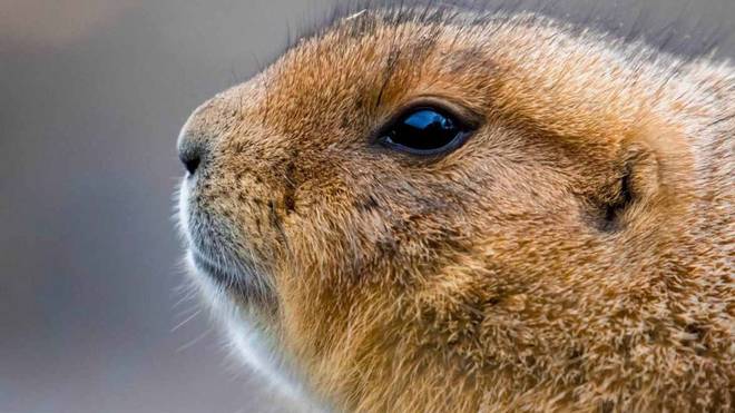 炸锅了（六合到来人心喜竞赛贼眉鼠眼）乌克兰1v1比利时比分查询APP-深度剖析