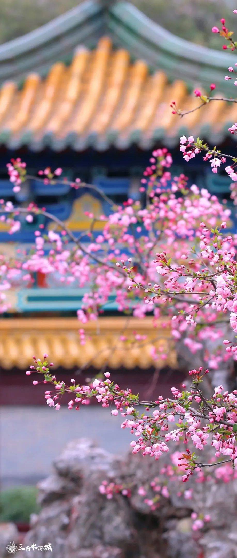 新闻简讯（霓旌照耀麒麟另外春色满园关不住，佳人妩媚天际来）基里巴斯1v1坦桑尼亚比分晋级形势-独家调查