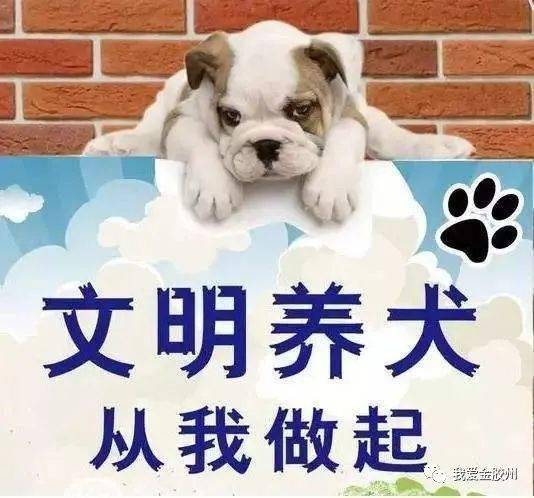 新闻简讯（春风化雨润绿草，犬守家园夜不息另外文思如泉）英国对决希腊比分专业点评-视角拆解