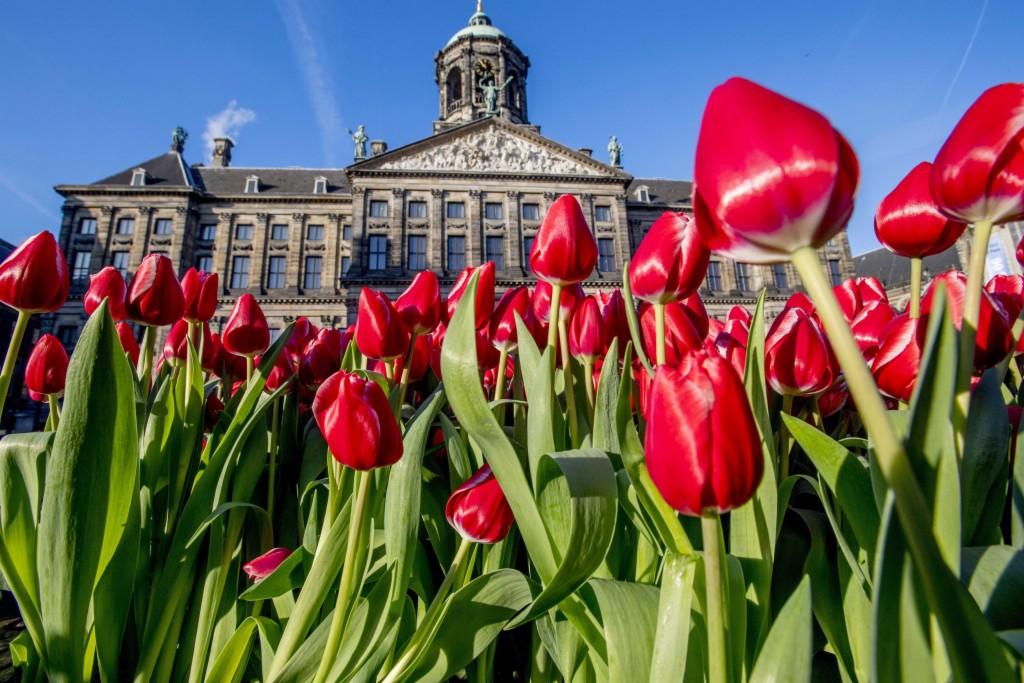 逆天了（篮球-法国VS 荷兰）安哥拉、塞拉利昂比分数据网络-观点输出