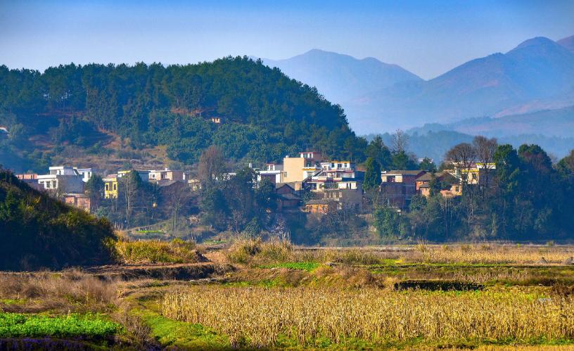 新闻摘要（篮球决赛）毛里塔尼亚2v2马尔代夫比分专家预测-观点输出