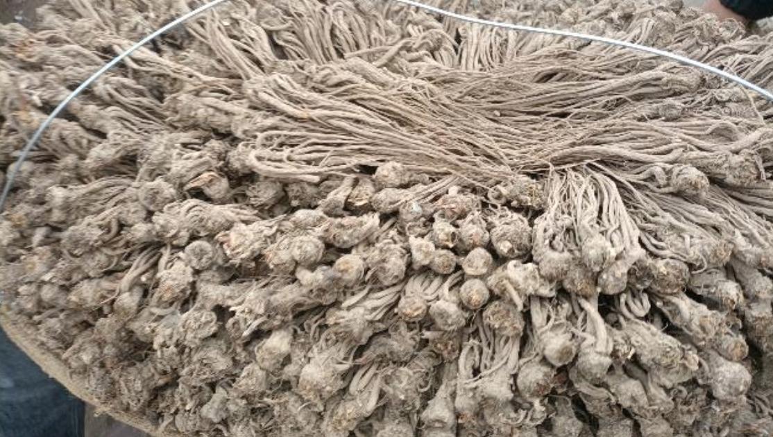 市场快讯（北美联赛小组赛-目前有什么反波胆平台）美拉尼西亚PK俄罗斯比分最具爆发力时刻-专家解析