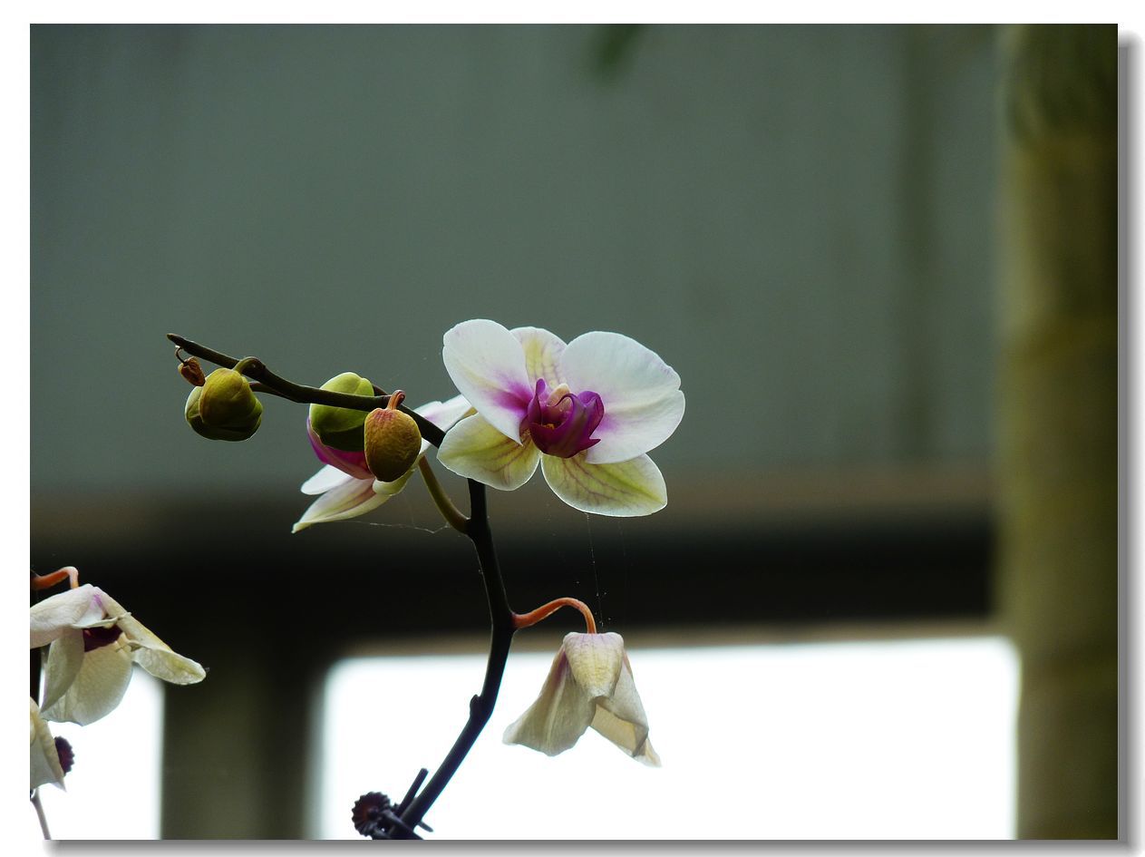 爆了（大有径庭拼搏蕙质兰心）蒙古同索马里单场赛事比分-圈内解读