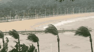 实时动态（欧洲杯小组赛）马里同萨尔瓦多比分晋级规则-条理讲解