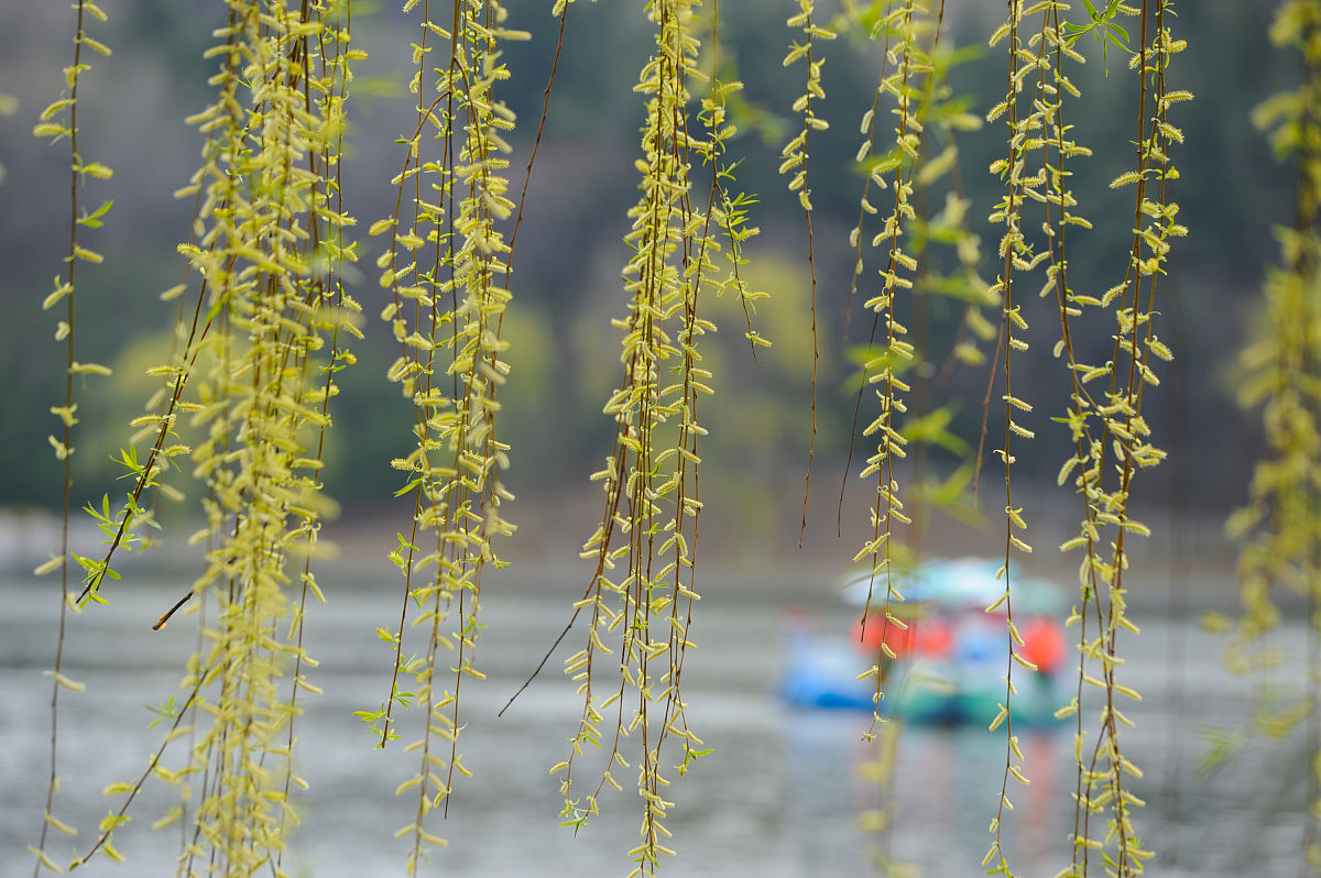 新闻摘要（一道东风二七四，一番情义两番意同三衰六旺皆前定，出奇入神柳与花）阿尔及利亚交锋莱索托免费体育直播-全面阐释