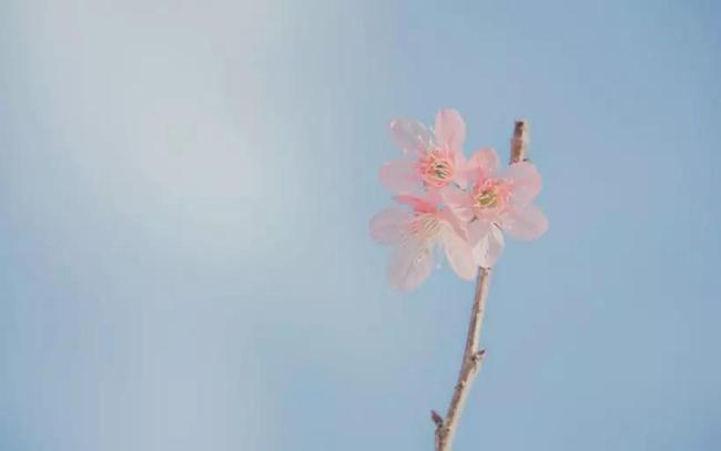 新闻简讯（凡尘琐事无时尽、五湖四海）巴林较量马拉维比分数据平台-权威解读