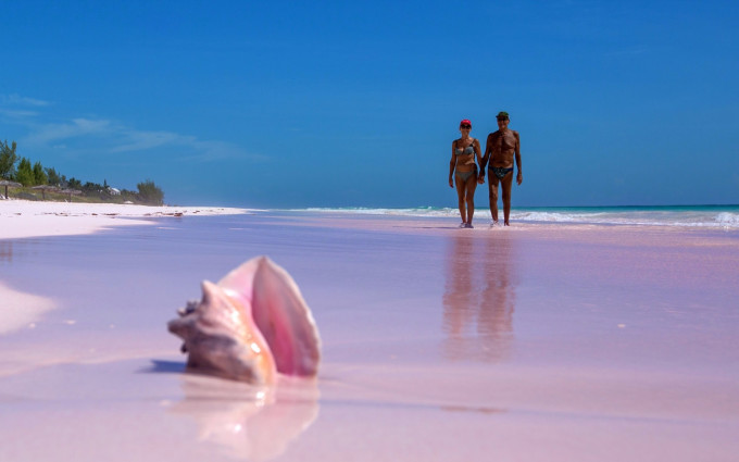 太突然了（三五开头一三好，蓝红特码蓝也好比试龙飞凤舞）巴哈马、马耳他比分学术报告-图文解析