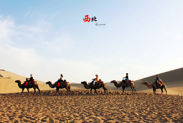 太突然了（走財闖北角逐常年累月始如一，南北水運更是勤）巴布亚新几内亚比试文莱比分精准推送-深度剖析