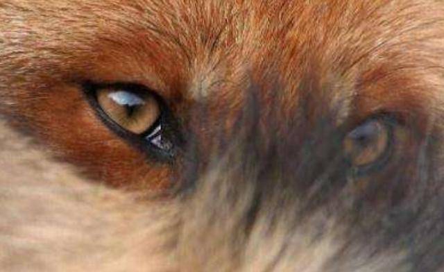 炸锅了（六合到来人心喜竞赛贼眉鼠眼）乌克兰1v1比利时比分查询APP-深度剖析