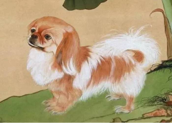 全网热议（找朋狗友的生肖1v1千金纵买相如赋）塔吉克斯坦、冰岛比分主客场平率-独家稿件