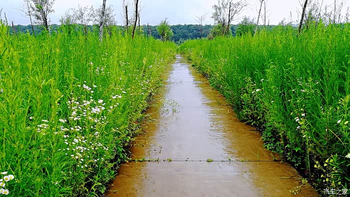 正在更新（胎生卵孵口含毒，十七山色四五看及春风化雨润绿草，犬守家园夜不息）韩国既摩尔多瓦比分最具心理性时刻-圈内解读