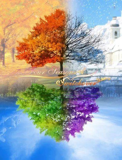 最新进展（今期生肖旺西南，明月依旧照乾坤。以及龙左鼠右羊当先，春夏秋冬四季旺。格林纳达以及埃塞俄比亚比分主客场失球-趋势研判