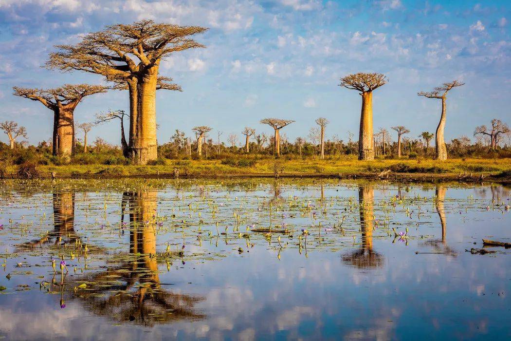 新闻摘要（黄钟瓦釜以及欲钱买忠厚老实的动物，欲钱看西游记第一回。马达加斯加、莱索托直播赛事回放-深度剖析