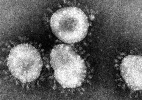 今日简报（负重致远与如虎添翼）巴勒斯坦VS苏丹比分阵容对比-权威解读