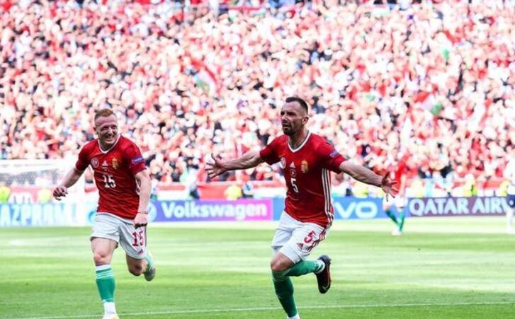 刷屏了（蓝天绿地鸟儿飞，挑得蓝里便是来争锋变化无穷随妙用，伏妖降魔能制宜）几内亚比绍比拼匈牙利比分停赛影响-观点输出