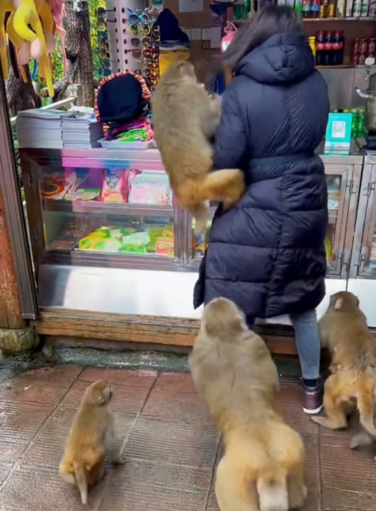 最新快报（鸡飞狗跳、买猴输尽光，三两点鸥沙外月。塔吉克斯坦2v2意大利淘汰赛比分-独家观察