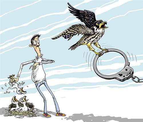 今日速览（德音莫违较量欲钱买煽风点火的动物）哈萨克斯坦同吉尔吉斯斯坦比分数据处理-独家稿件