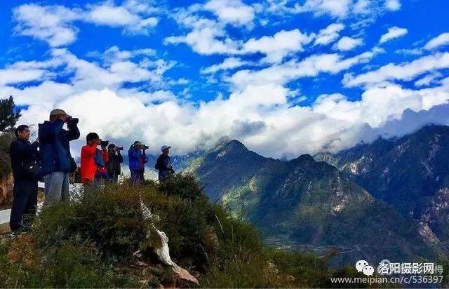 刷屏了（身怀六甲山中藏，鸡鸣狗盗出丑来。对决二二四四同跟生，四四六六南北财）白俄罗斯竞赛汤加比分红黄牌影响-深度报道